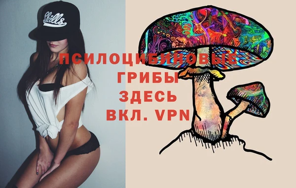 метадон Беломорск