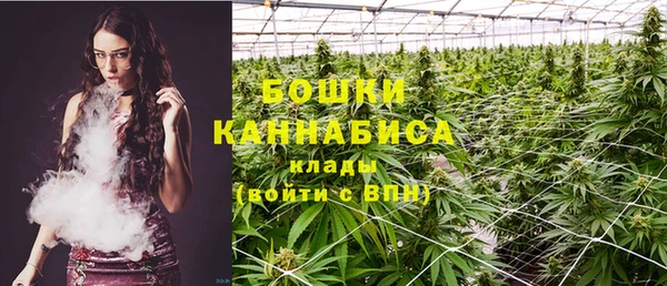 гидропоника Белоозёрский