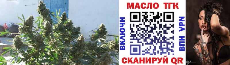 kraken вход  Балашов  ТГК вейп 