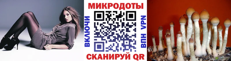Галлюциногенные грибы мухоморы  MEGA сайт  Балашов 